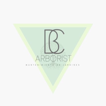 Logotipo de BC Arborist