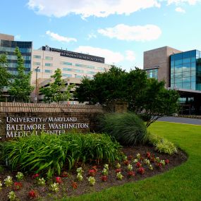 Bild von Vascular Center at UM Baltimore Washington Medical Center