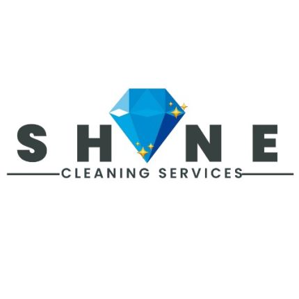 Logo from Diamond Shine Cleaning Enterprises LLC