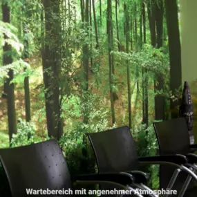 Bild von Prof. Dr. med. Dr. med. dent. Maick Griebenow MSc