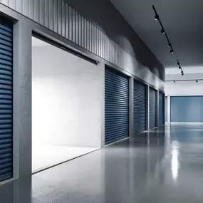 Bild von Plexus Electrical