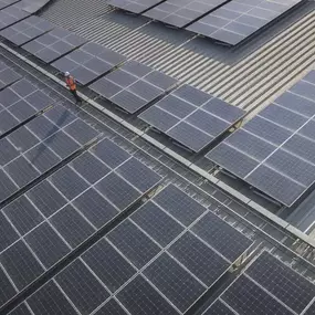 Bild von Plexus Electrical