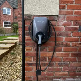 Bild von Plexus Electrical