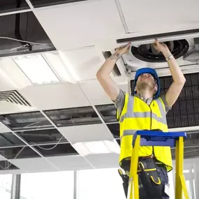 Bild von Plexus Electrical