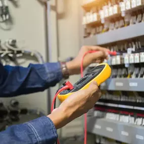 Bild von Plexus Electrical