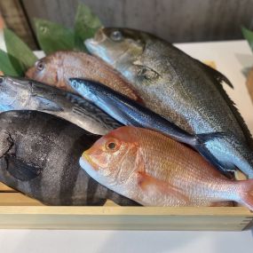 Fresh Fish Delivered Twice a Week