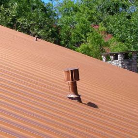 Bild von Fitz Roofing