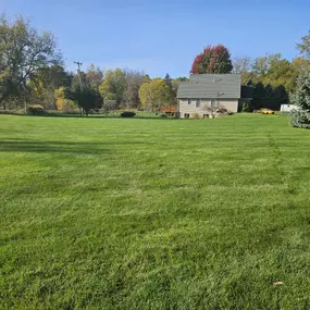 A perfectly manicured lawn cared for by Tuff Turf Molebusters.