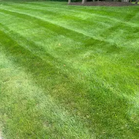 Lawn care services in Michigan