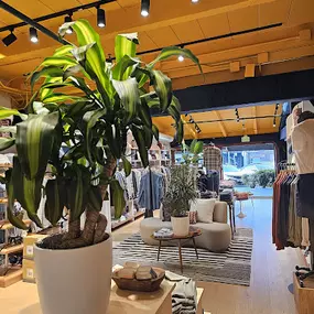 Bild von Access Plants