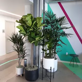 Bild von Access Plants