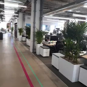 Bild von Access Plants