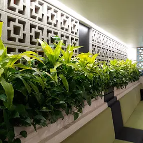 Bild von Access Plants