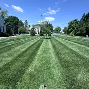 Provide your turf with resources that will bolster its growth, promote strong, deep roots, and build up its resistance against diseases and pests.