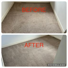 Bild von Fiber Fusion - Carpet & Upholstery Cleaning