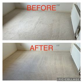 Bild von Fiber Fusion - Carpet & Upholstery Cleaning