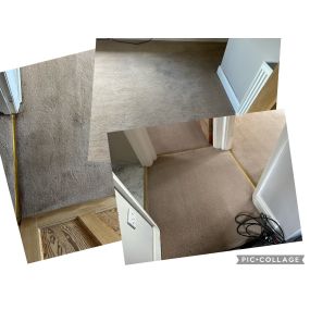 Bild von Fiber Fusion - Carpet & Upholstery Cleaning