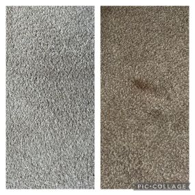 Bild von Fiber Fusion - Carpet & Upholstery Cleaning