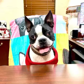 Mr. Frank paid a special visit to the office today! ????????
I think it is safe to say, he is ready for Christmas! ????
Reminder — Our office is only open till noon today!!