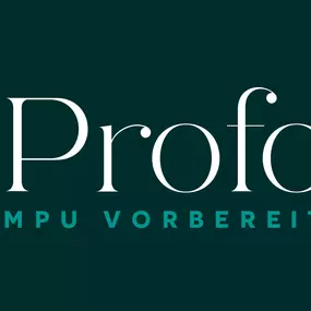 Bild von MPU Vorbereitung in Nürnberg - Profocus MPU