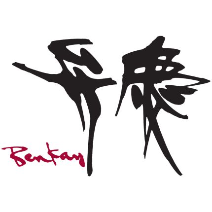 Logo da BENKAY WASHOKU