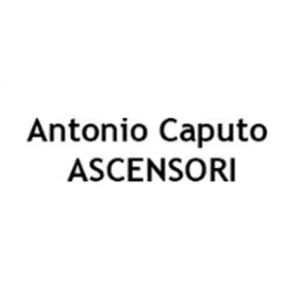 Logotyp från Antonio Caputo Ascensori