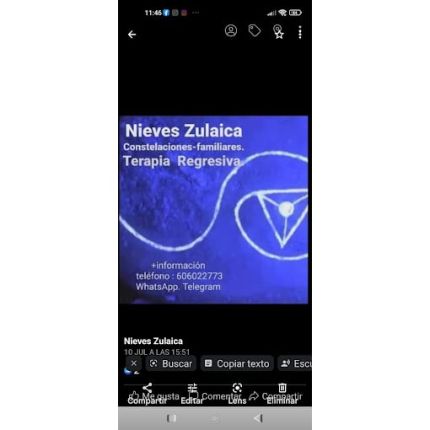 Logótipo de Nieves Zulaica. Terapeuta