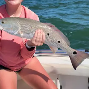 Bild von Amelia Island Fishing Charters