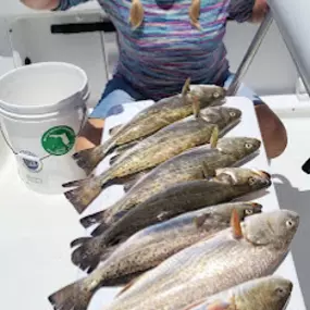 Bild von Amelia Island Fishing Charters