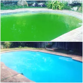 Bild von South Texas Pool Tile Cleaning