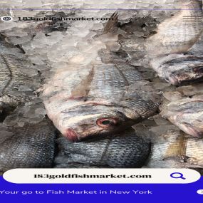 Bild von 183 Fish Market