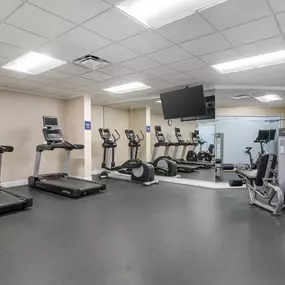 Health club  fitness center  gym