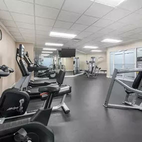 Health club  fitness center  gym