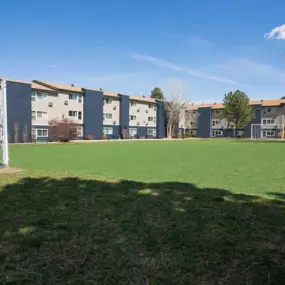 Outdoor soccer field.