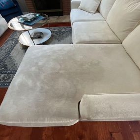 Bild von Zest Carpet Cleaning