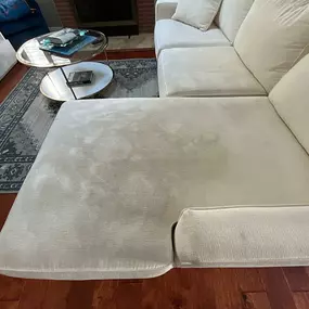 Bild von Zest Carpet Cleaning