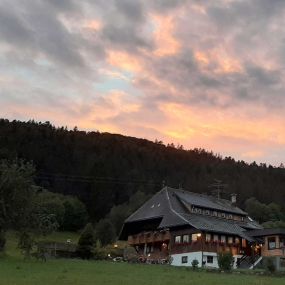 Bild von Das Schwarzwaldhotel Todtmoos Weg