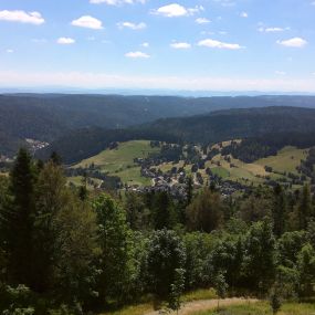 Bild von Das Schwarzwaldhotel Todtmoos Weg