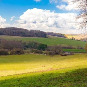 Ackender Hill Green Open Space