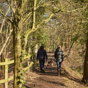 Highlands Park woodland walk