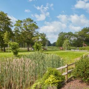 Open Green Space at Arborfield Green