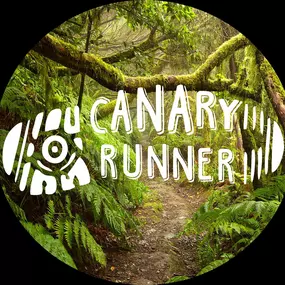 Canaryrunner-imagenportada.jpg