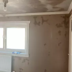 Bild von STS Plastering Ltd