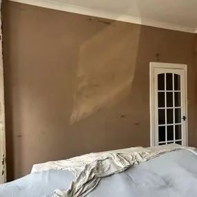 Bild von STS Plastering Ltd