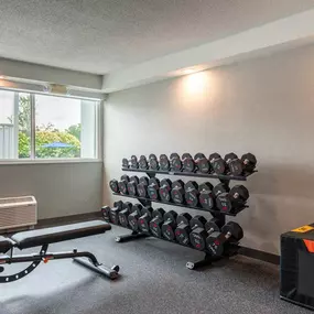 Health club  fitness center  gym