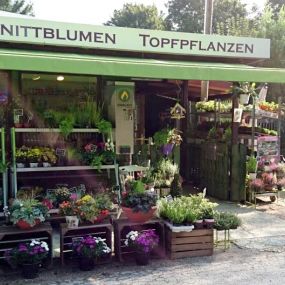 Blumen Friedhofsgartenbau / Blumengeschäft Sylvia Held Stand