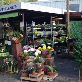 Friedhofsgartenbau / Blumengeschäft Sylvia Held Geschäft