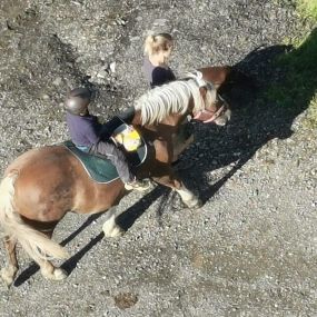 Bild von Reittherapie- Heilpädgogisches Arbeiten mit Pferd und Hund