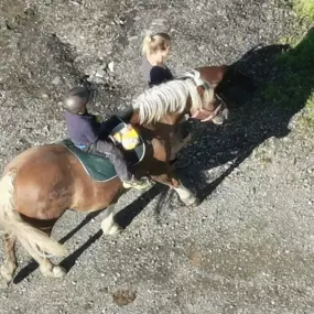 Bild von Reittherapie- Heilpädgogisches Arbeiten mit Pferd und Hund