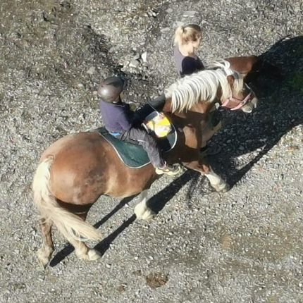 Logótipo de Reittherapie- Heilpädgogisches Arbeiten mit Pferd und Hund